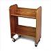 Catskill Craftsmen Bookmaster Book Video Carts Multimedia Storage