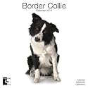 BORDER COLLIE STUDIO 16 MONTH DOGS CALENDAR 2010