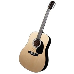 Fender Starcaster Acoustic Guitar Pack - 0910104121