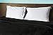 American Pillowcase Twin XL Fitted Sheet Only - 300 Thread Count 100% Egyptian Cotton - Pieces Sold Separately (Black)