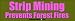 Strip mining prevents forest fires - funny bumper stickers (Medium 10x2.8 in.)