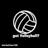 Got Volleyball? Window Decal Sticker White 7"