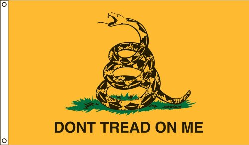 America's Flag Company 6-Foot by 10-Foot Nylon Gadsden Historical Flag with Canvas Header and Grommets