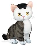 The Shy Little Kitten Soft Toy, is 7