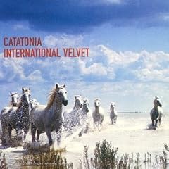 International Velvet