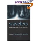 Wavelets: The Key to Intermittent Information by B. W. Silverman and J. C. Vassilicos