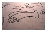 Sand Painting on Santa Cruz Beach, Santa Cruz, California, USA Photographic Poster Print by Lee Foster, 16x12