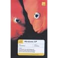Teach Yourself Windows XP (Teach Yourself Books) by  Mac Bride