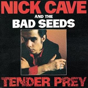 CD-Charts  Music : Tender Prey