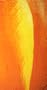 "Rouge" Printed Silk Art Scarf Stole Shawl Wrap Sarong Red Orange