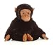 Aurora Plush Cameroon the Chimp