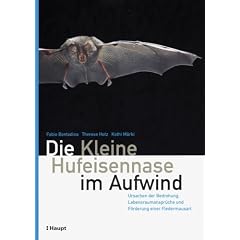 Die Kleine Hufeisennase im Aufwind