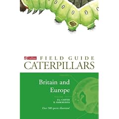 Field Guide to the Caterpillars of Britain and Europe (Collins Field Guide)