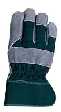 Lined Suede Cow Glove Large
