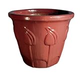 Click for more about XL Holland Pot Purple - Garden Pots.
