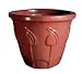 Small  Holland Pot Purple