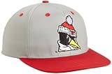 NCAA Youngstown State Penguins Primary Mascot Grey College Snap Back Team Hat