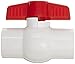 Hayward QVC1007TSEW Series QVC Compact Ball Valve, Threaded End, White, 3/4