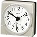 �V�`�Y�� CITIZEN �d�g���v 4RLA03DA19