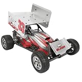 Team Losi