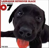 Black Labrador Retriever - THE DOG 2007 Wall Calendar
