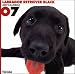   - Black Labrador Retriever - THE DOG 2007 Wall Calendar