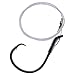 Catfish Rig Hook