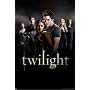 Twilight (Group) Framed Movie Poster Print - 24" X 36"