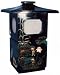 Asian Lantern style table lamp / floor lamp - hand painted black lacquer