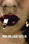 How the Light Gets in