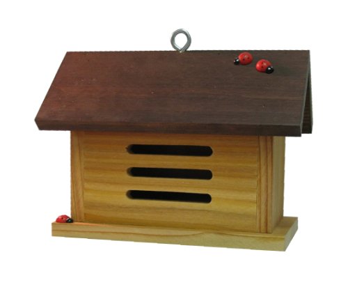 Ladybug House- Barn Shaped