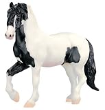 The Gypsy King Gypsy Vanner Stallion