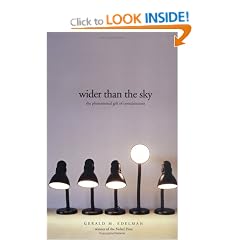 Wider Than the Sky: The Phenomenal Gift of Consciousness