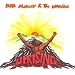 Music : Uprising