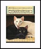 Ebony and Ivory by Drew Strouble