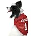 Arkansas Razorbacks #1 Cardinal Dog Football Jersey