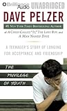The Privilege of Youth: A Teenager's Story of Longing for Acceptance and Friendship