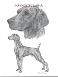 Weimaraner - Double Image by Cindy Farmer