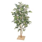 【人工植物】ベンジャミン板付ナターシャ