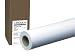 PM Company Perfection Amerigo/Show 35 Wide Format Ink Jet Rolls, 36 Inches x 100 Feet, 2 Inches Core, White, 1 per Carton (45202)