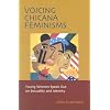 Voicing Chicana Feminisms: Young Women Speak Out on Sexuality and Identity (Qualitative Studies in Psychology Series)