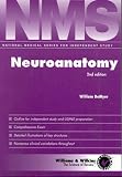 Neuroanatomy
