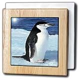 Penguin - 6 Inch Tile Napkin Holder