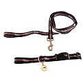 NFL Pet Collar and Leash Set - Large