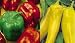 2 Packs -Sweet  Pepper seed Californian Wonder + Sweet Banana