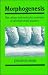 Morphogenesis: The Cellular and Molecular Processes of Developmental Anatomy (Developmental and Cell Biology Series)