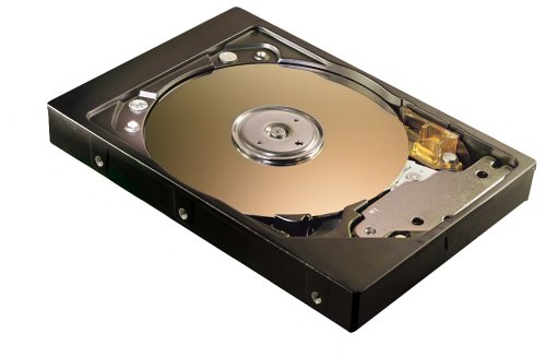 MAXTOR 2F040J0 40GB Maxtor Hard Drive