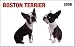 boston terrier - Boston Terrier In Your Face! 2008 Wallet Calendar