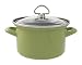 Chantal Enamel-On-Steel 2 Quart Soup Pot with Tempered Glass Lid, Glossy Garden Green