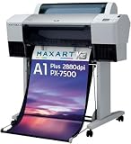 �Z�C�R�[�G�t�K�\�� A1�v���X �C���N�W�F�b�g�v�����^ 2880�~1440dpi 8�F PX-7500